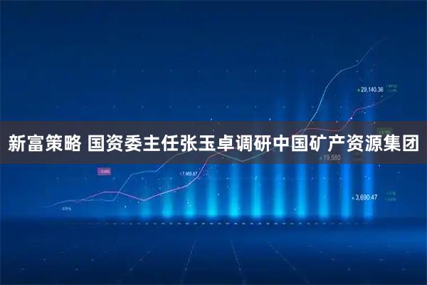 新富策略 国资委主任张玉卓调研中国矿产资源集团